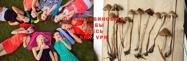 круглые Богородск