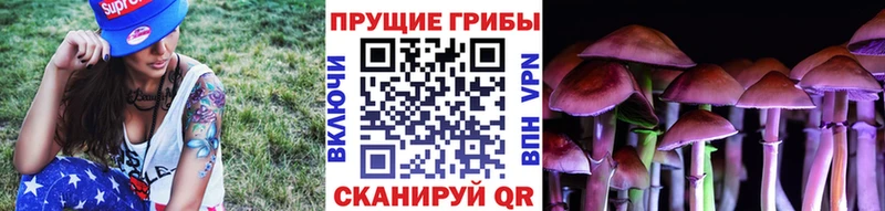 Галлюциногенные грибы Psilocybine cubensis  Волчанск 
