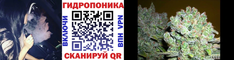 купить цена Волчанск Шишки марихуана SATIVA & INDICA